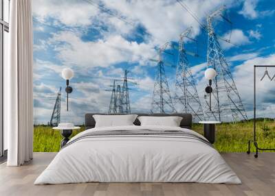 The transmission lines in green field in summer  Wall mural