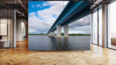 Jubilee automobile bridge across the Volga river in the city of Yaroslavl, Russia Wall mural