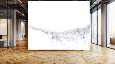 water fresh liquid splash wave white Wall mural