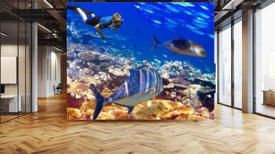 The diver over corals and tropical fishes Wall mural