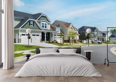 Street of suburban homes Wall mural