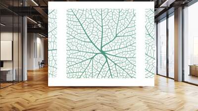 Leaf vein texture abstract background with close up plant leaf cells ornament texture pattern. Green and white organic macro linear pattern of nature leaf foliage vector illustration. Wall mural