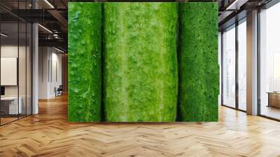 three cucumber texture background. Mature green cucumbers with pimples. Wall mural