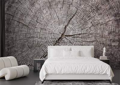 Wood background. Texture background Wall mural