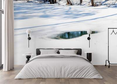 Wormwood on a frozen river on a winter day Wall mural