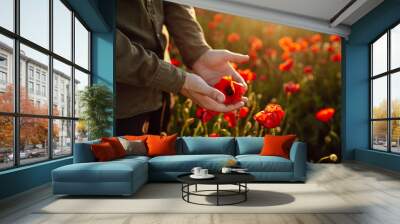 A man holding a red flower in his hands. Soft sunset light. Male hands with a flower in his hands. Warm colors. Poppy field, sunset, summertime, poppy. Wall mural