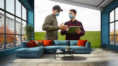 Two young farmers in masks with a tablet check the harvest. Men in a wheat field in spring. Smart farming. Wall mural