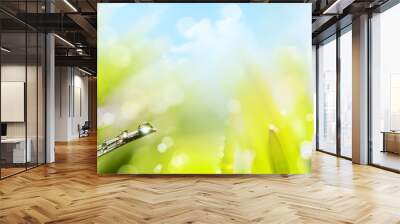 abstract art spring Nature background Wall mural