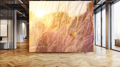 Abstract field landscape at sunset with soft focus. dry ears of grass in the meadow and a flying butterfly, warm golden hour of sunset, sunrise time. Wall mural