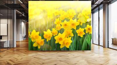 abstract spring Background; spring yellow flower and butterfly Wall mural