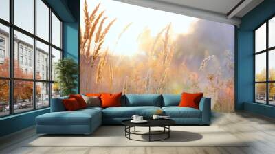 Art autumn sunny nature background Wall mural