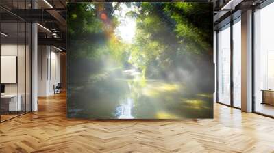 Art beautifu landscape with morning tropical River in jungle Wall mural