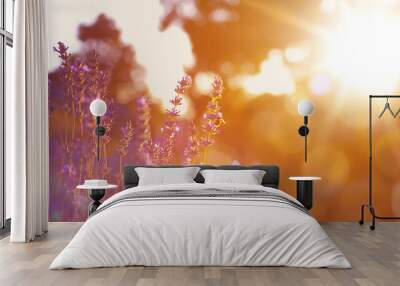 art Beautiful summer sunset background with blooming wild lovanda flowers and flying butterflies in a sunny meadow Wall mural