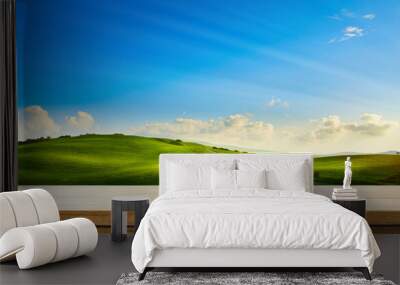 art empty wooden table on green farm field background. mockup for countryside outdoor product design Wall mural