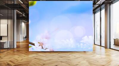 art Spring blossom background Wall mural