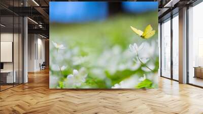 Art Spring floral landscape; beautiful white spring flower and fly butterfly against evening sunny sky; nature landscape background. Wall mural