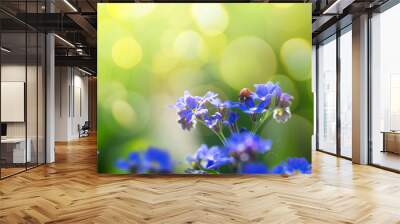 art spring or summer background with forget-me-not flower Wall mural