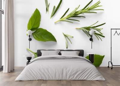 Fresh green organic basil and rosemary leaves isolated on white background. With clipping path. Transparent background and natural transparent shadow;  Basil and rosemary herb collection for design Wall mural