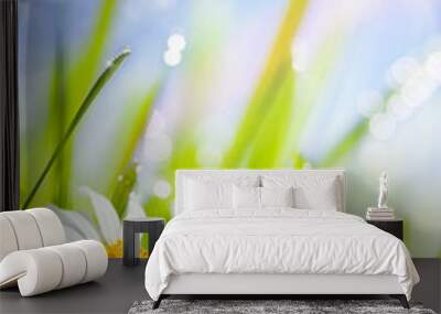 natural summer background with daisies flowers in grass Wall mural