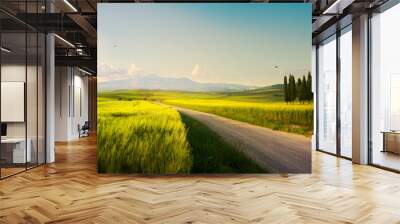 spring farmland and country road;  tuscany countryside rolling hills Wall mural