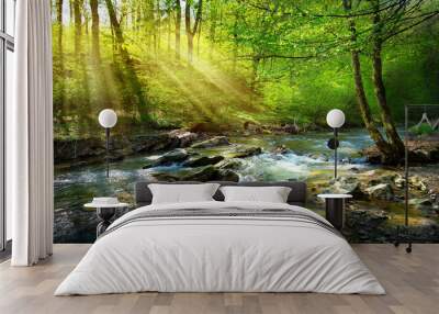 spring forest nature landscape,  beautiful spring stream, river rocks in mountain forest Wall mural