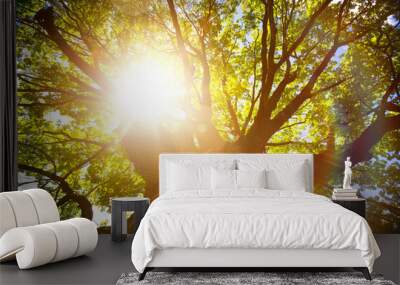 Summer or autumn nature background; big old oak tree against sunlight Wall mural