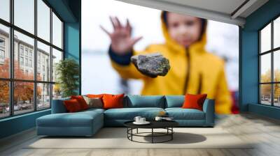 A child throws a stone. The stone hangs in the air. Wall mural