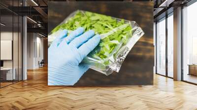 Rucola salad in a package in a hand in a rubber glove. Wall mural