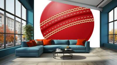 cricket ball vector illustration Wall mural