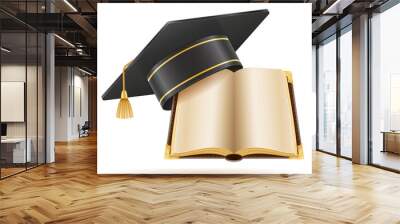 university college and academy graduate hat vector illustration Wall mural