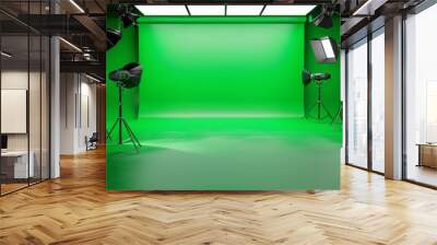 Green screen background and spotlight in photo studio Wall mural