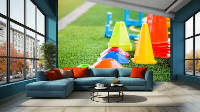 soccer training equipment on green artificial turf Wall mural