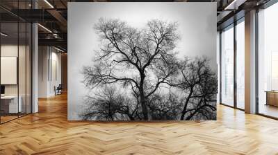 black silhouette of a branchy tree against a cloudy sky Wall mural