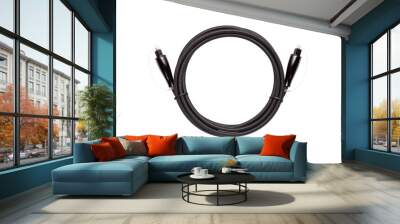 Optical audio cable isolated on white background Wall mural