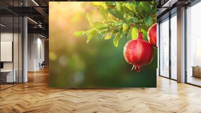 Two red pomegranates hanging from a tree Wall mural