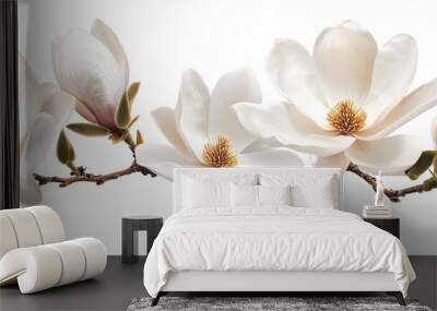 A white flower arrangement with four flowers on a white background Wall mural