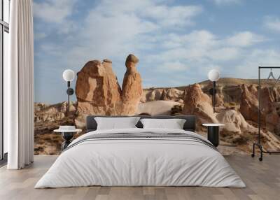 Camel shaped rock at Cappadocia Wall mural