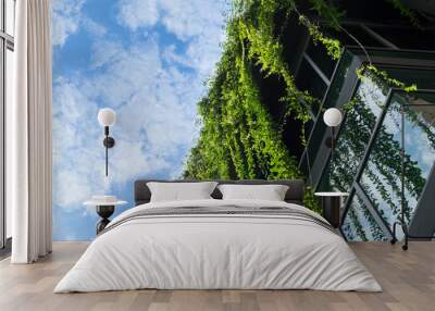 Glass building house covered by green ivy with blue sky Wall mural