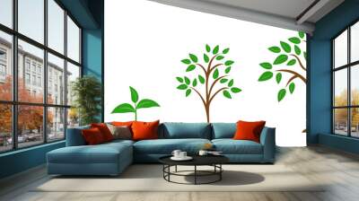 The stages of plant growth from a green leaf to an adult tree. Set vector illustrations Wall mural