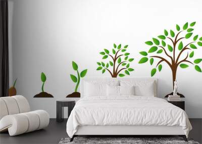 Tree growth diagram with green leaf, nature plant. Set of illustrations with phases plant growth. Flat style. Wall mural