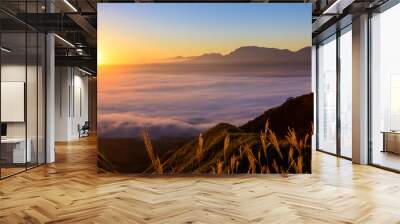 最高に美しい絶景自然風景(阿蘇山背景)
The most beautiful natural scenery (Mt. Aso background)
「日の出・雲海・朝焼け光芒」
