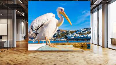 famous pelican petros in mykonos island greece cyclades Wall mural