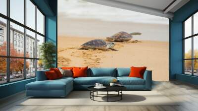 Hawksbill sea turtle on the beach, Thailand. Wall mural