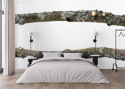 Cut crooked branches of an apple tree in two perspectives, covered with thin bark with lichen and moss, isolated on a white background. Wall mural