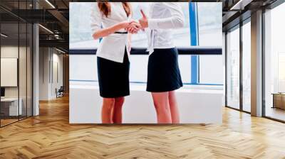 Two young and beautiful business woman Wall mural