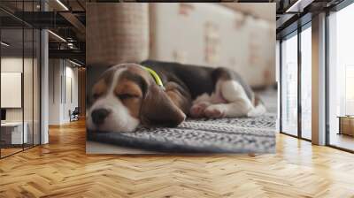 Little lovable beagle dog sleeping on the carpet at home. Close-up portrait of a sleepy puppy relaxing in the living room on the floor. Wall mural