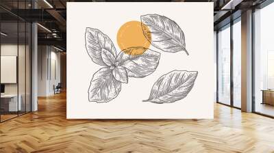 Basil leaves on a light background isolated. Hand-drawn spicy herb for cooking. The concept of organic food. Spices vector illustration. Wall mural