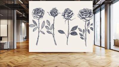 Big set of hand-drawn rose flowers. Buds on stems of garden flowers vector illustration. Botanical image for a floral background. Design element for postcard, poster, cover, invitation. Wall mural