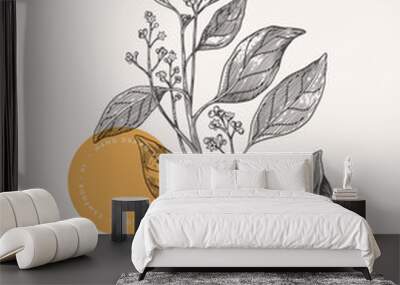 Branch of fragrant camphor in engraving style. Aromatic tropical plant. Botanical vector illustration for floral design in medicine and cosmetology. Wall mural