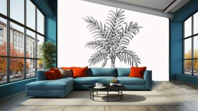 Kentia palm in engraving style. Howea palm tree. Hand-drawn tropical tree. Vintage botanical illustration on a light background in engraving style Wall mural